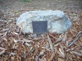 image of grave number 619057